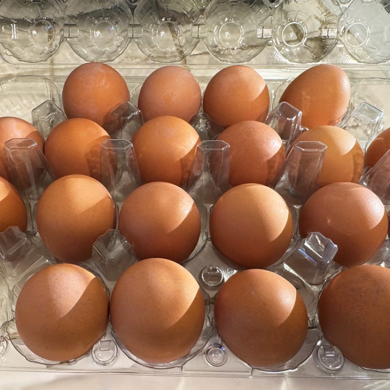 Free Range Eggs